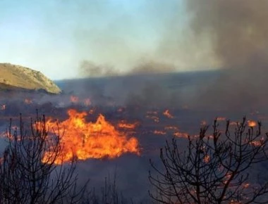 Μυτιλήνη: Έσβησε η φωτιά στην Αγιάσο